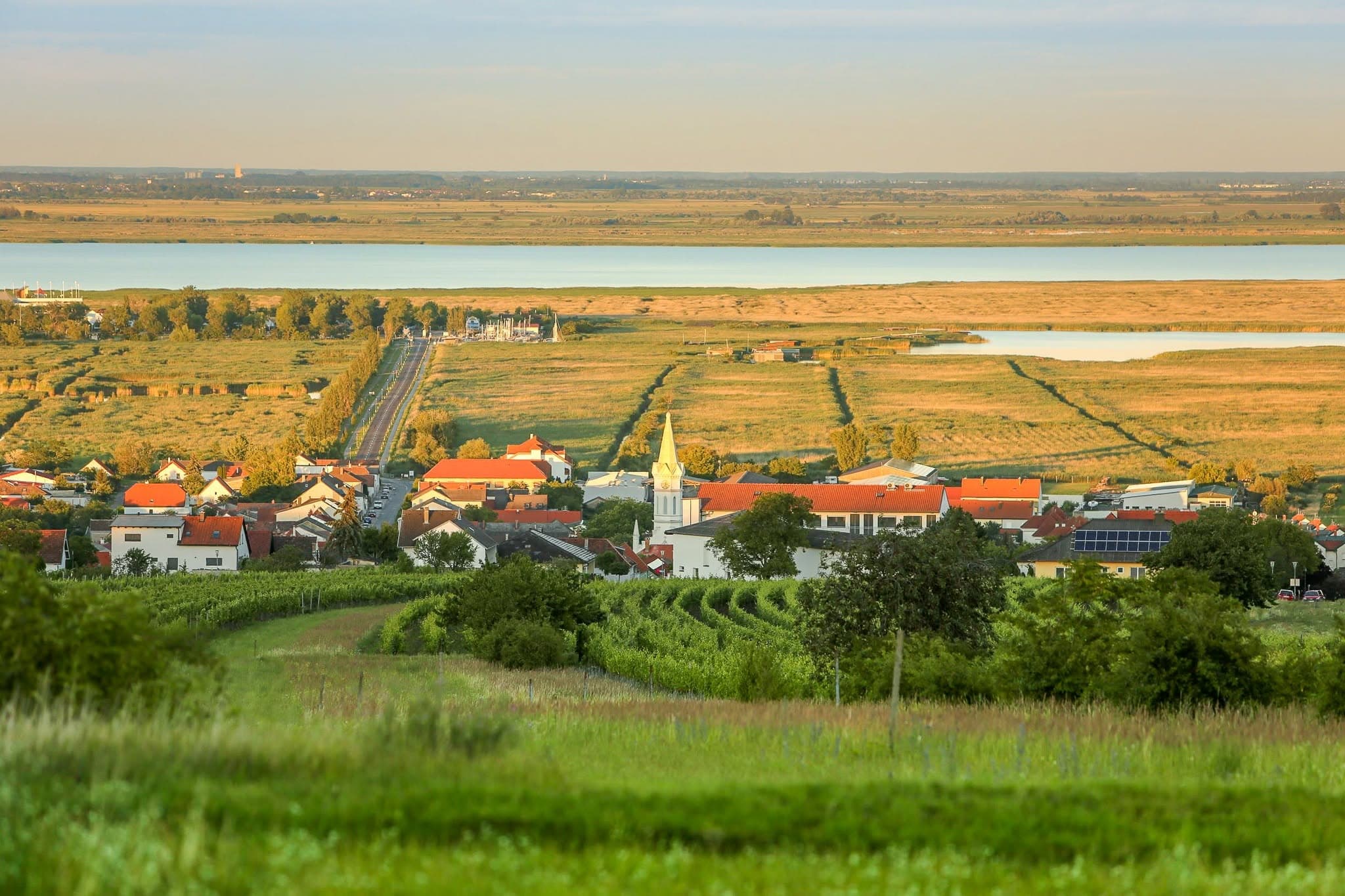Blick über Mörbisch und den Neusiedler See
